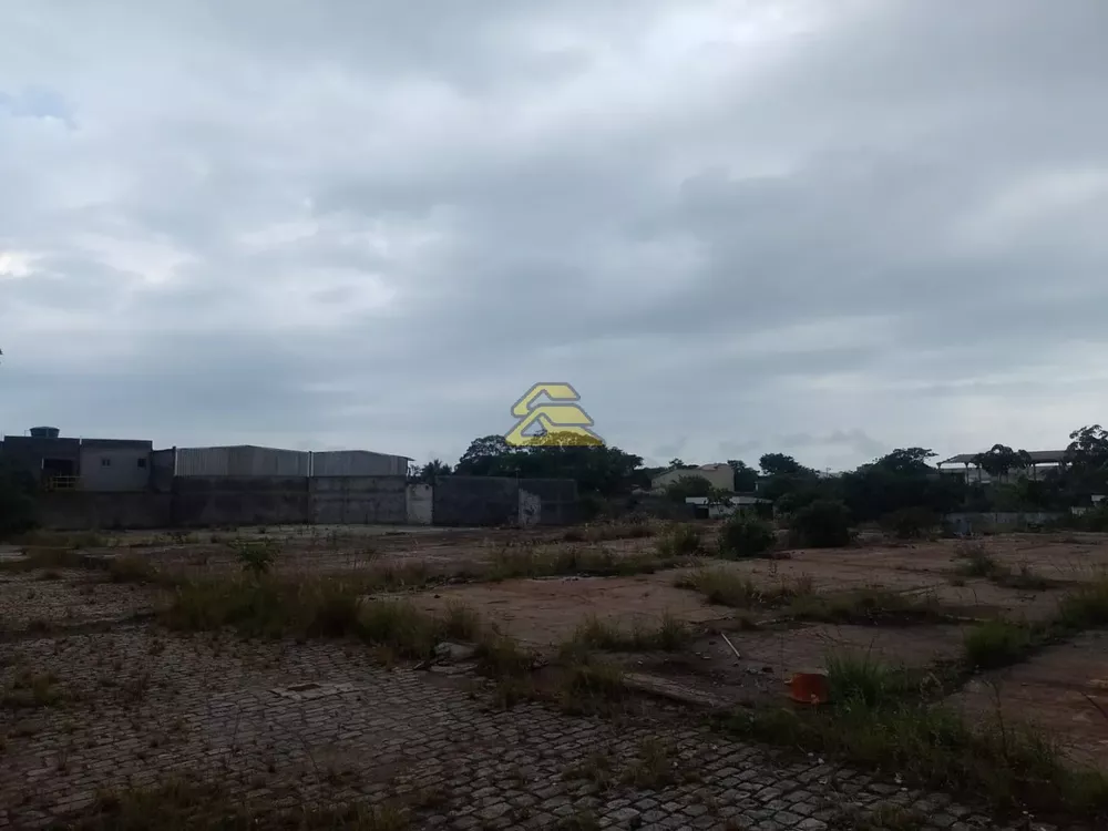 Terreno, 9000 m² - Foto 5