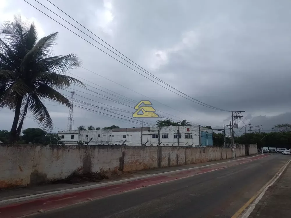 Terreno, 9000 m² - Foto 11