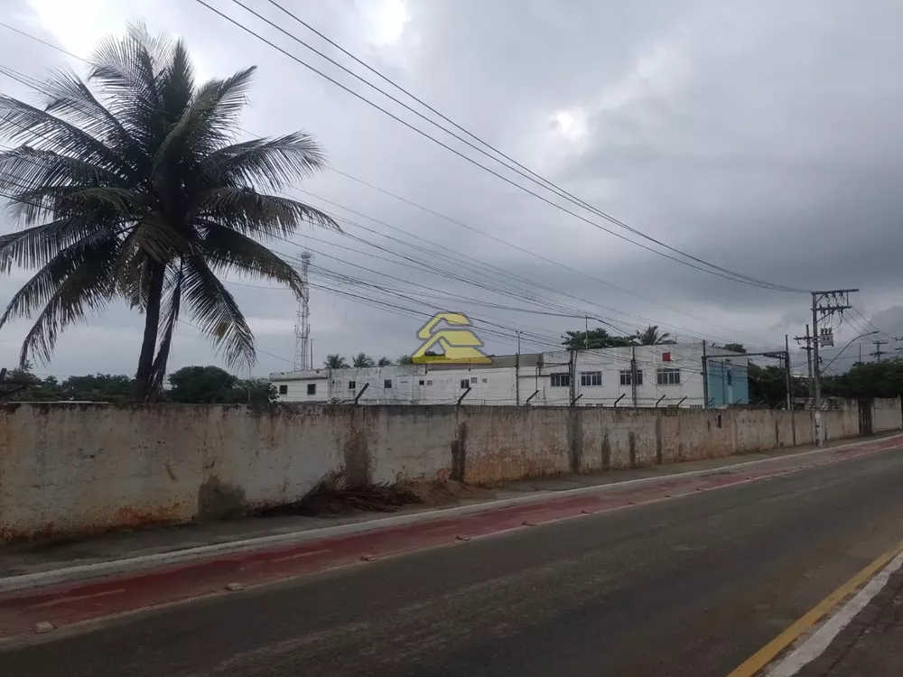 Terreno, 9000 m² - Foto 15