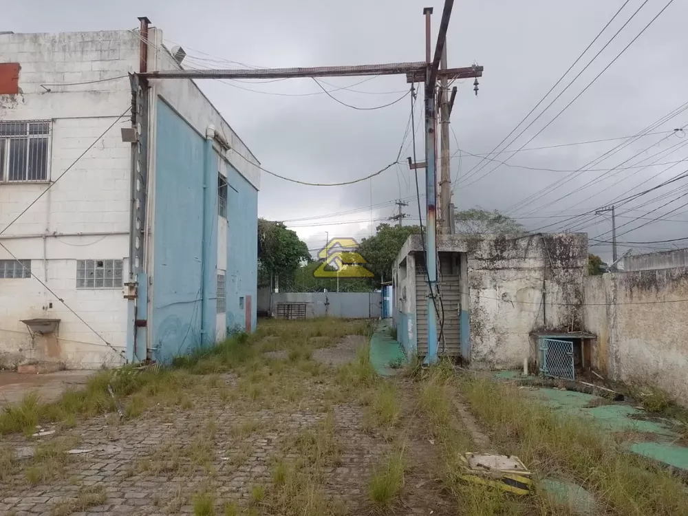 Terreno, 9000 m² - Foto 4