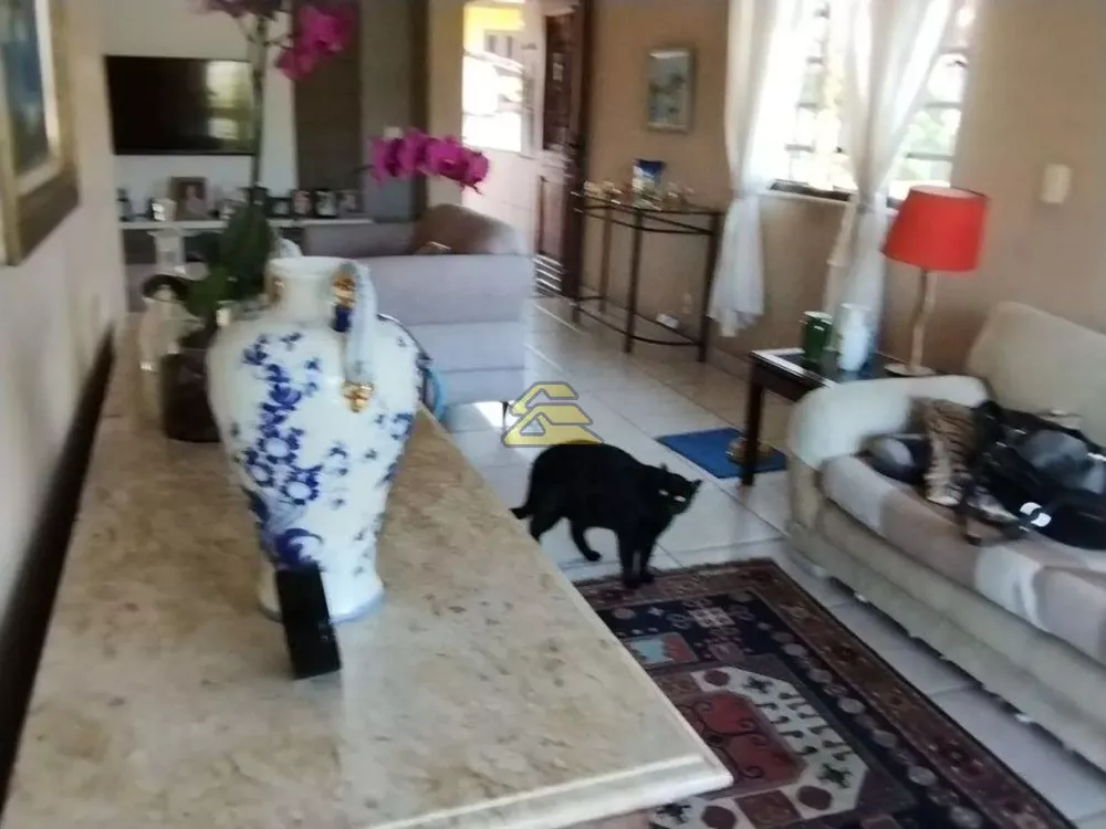 Casa, 3 quartos, 376 m² - Foto 2