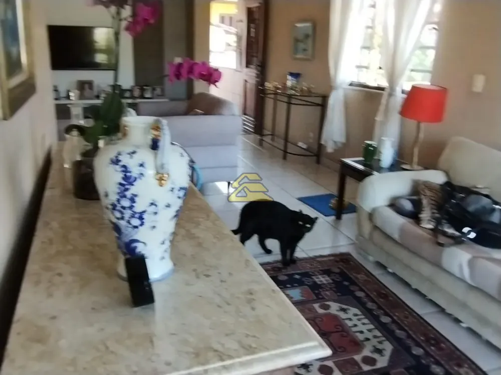 Casa, 3 quartos, 376 m² - Foto 52