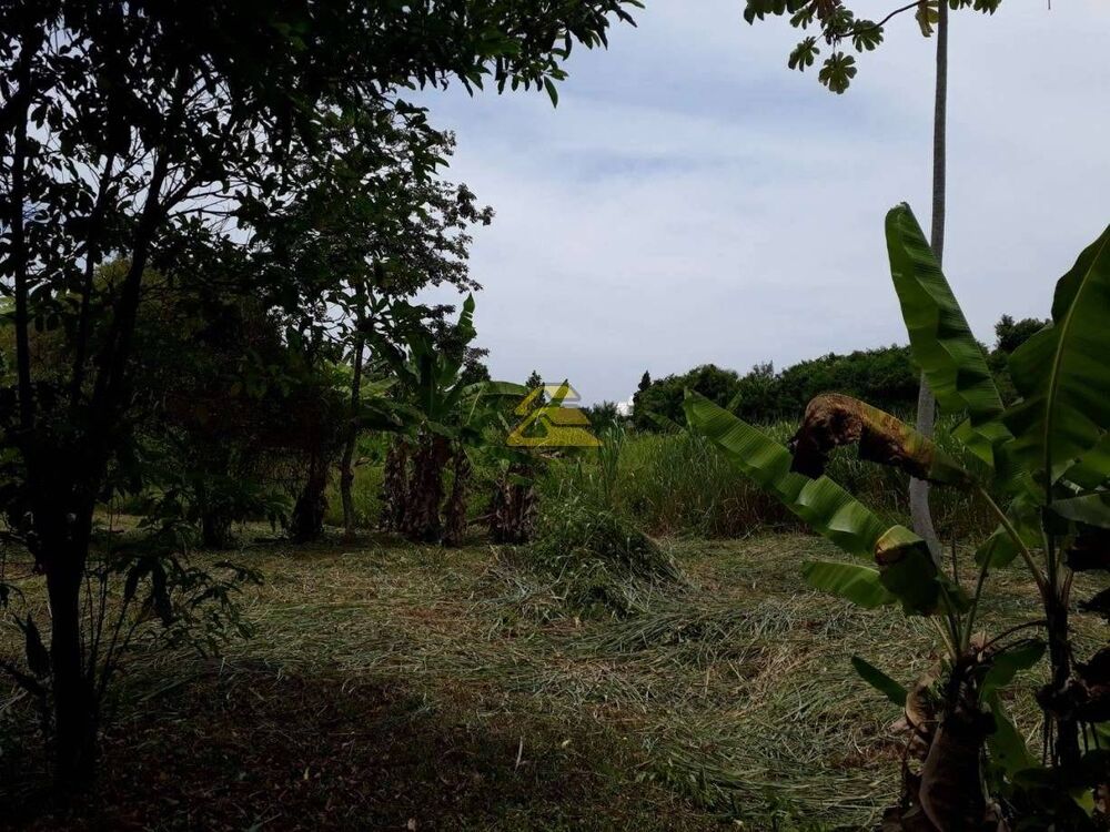 Terreno, 1 hectares - Foto 7