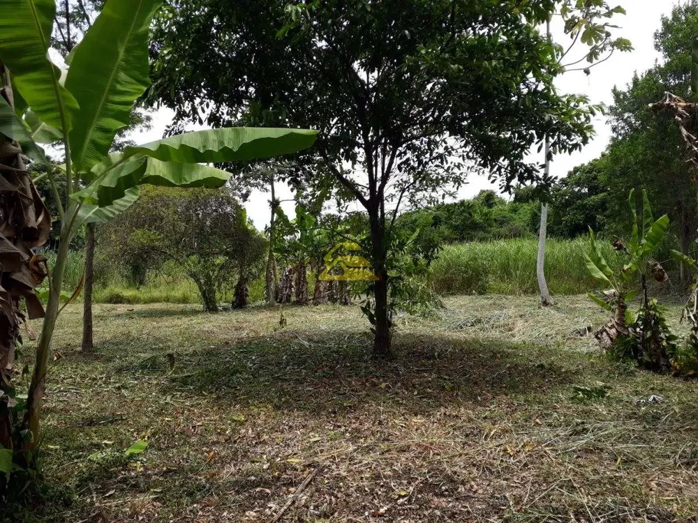 Terreno, 1 hectares - Foto 8