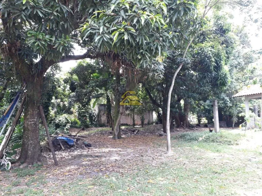 Terreno, 1 hectares - Foto 12