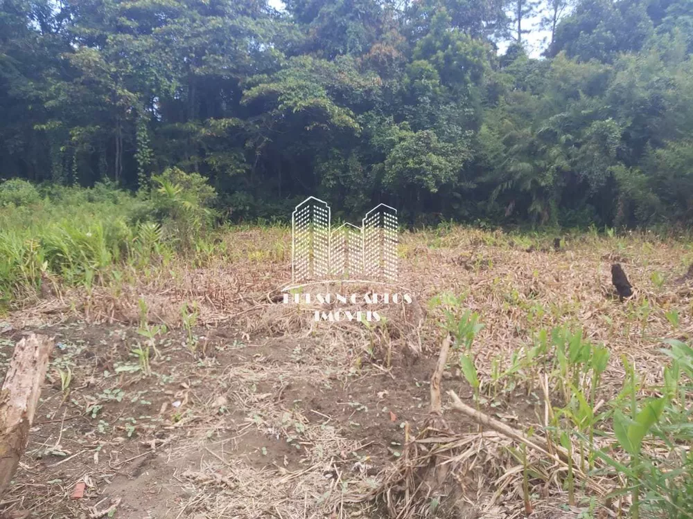 Terreno, 1000 m² - Foto 3