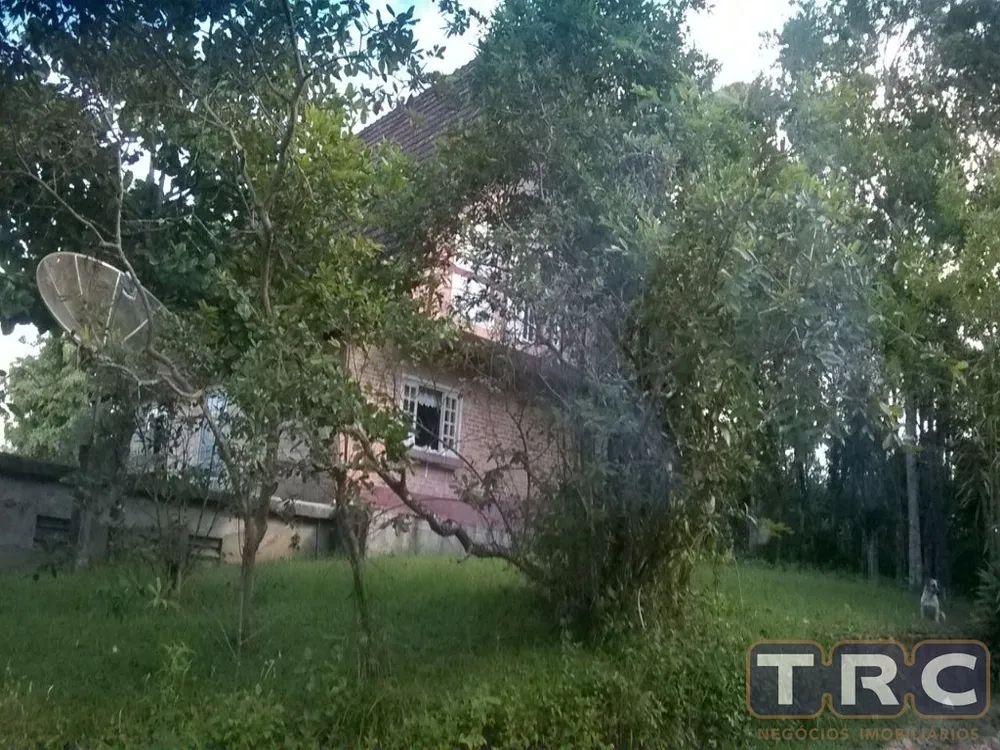Sítio, 3 quartos, 250 m² - Foto 4