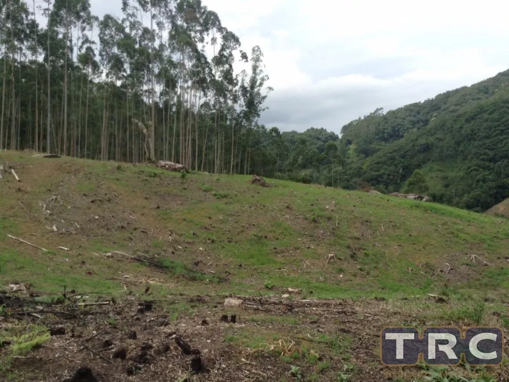 Sítio, 1 quarto, 21 hectares - Foto 4