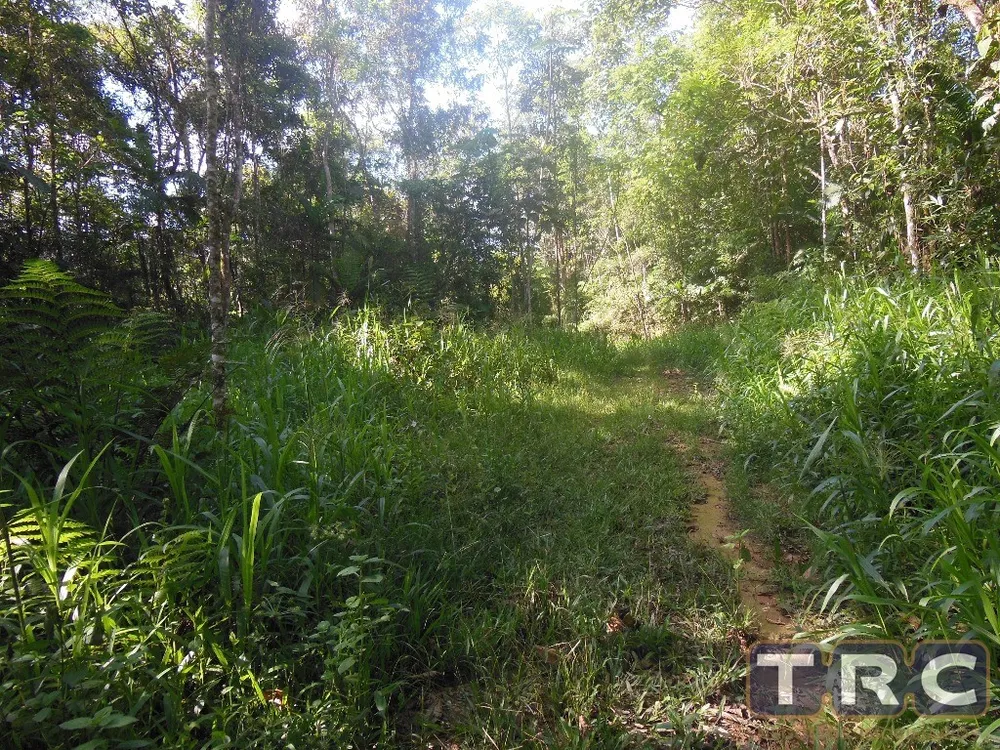 Terreno, 6 hectares - Foto 2