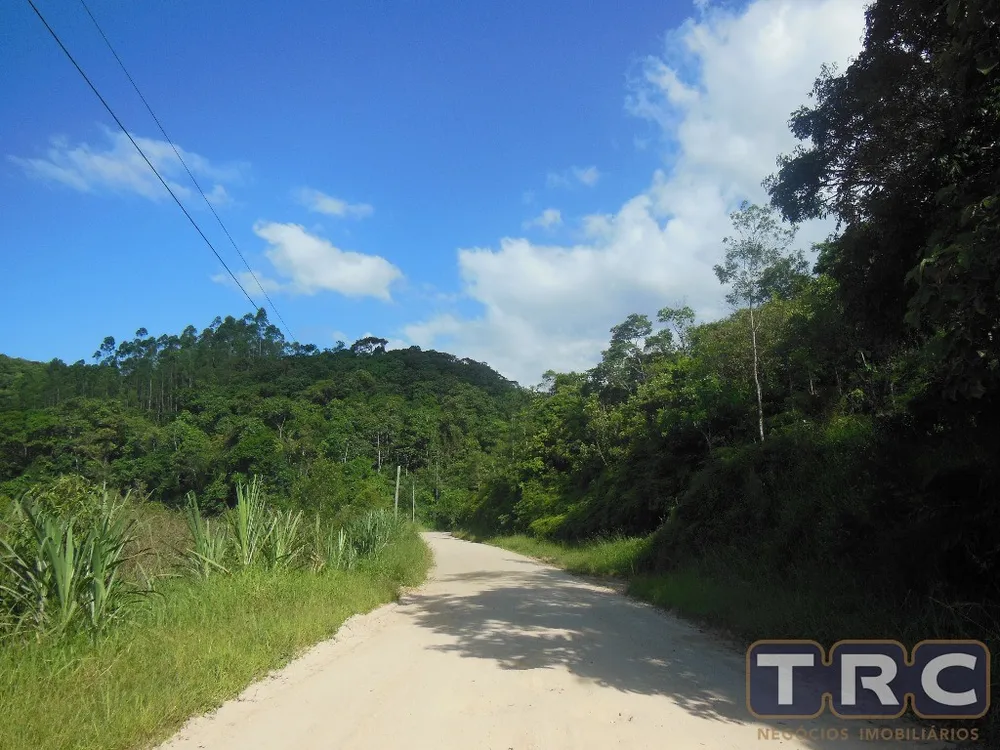 Terreno, 6 hectares - Foto 3