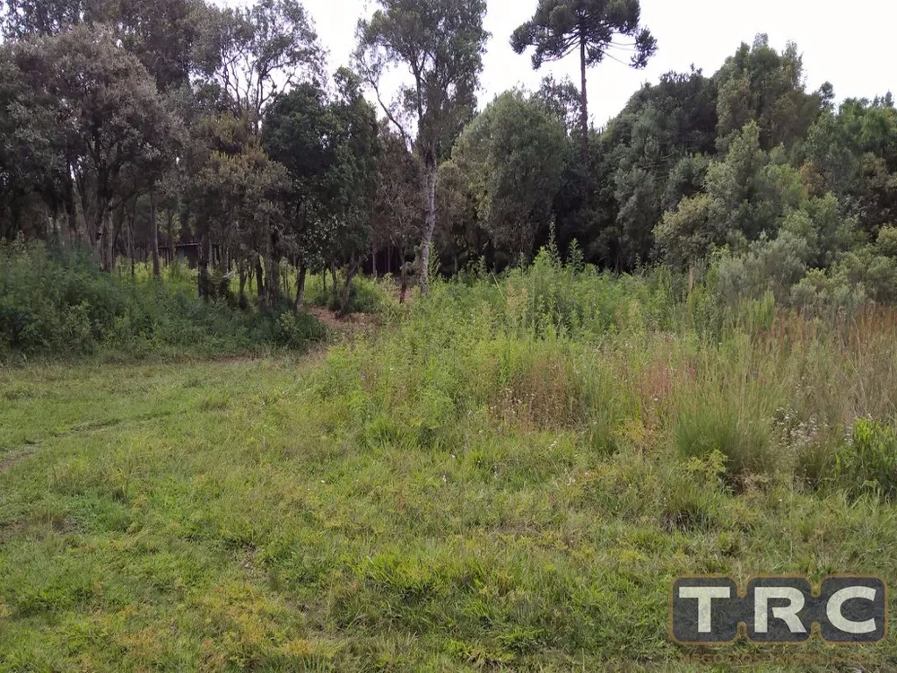 Terreno, 1507 m² - Foto 3