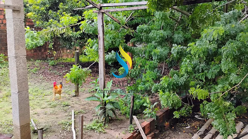 Sítio, 4750 m² - Foto 4