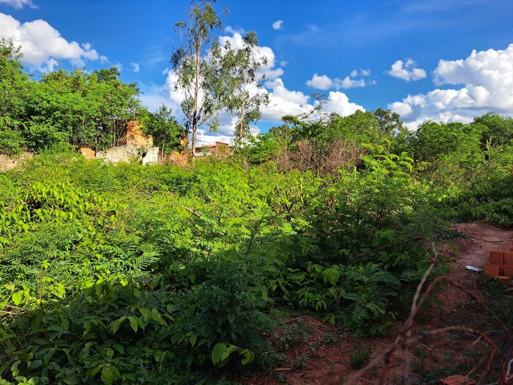 Terreno, 800 m² - Foto 3
