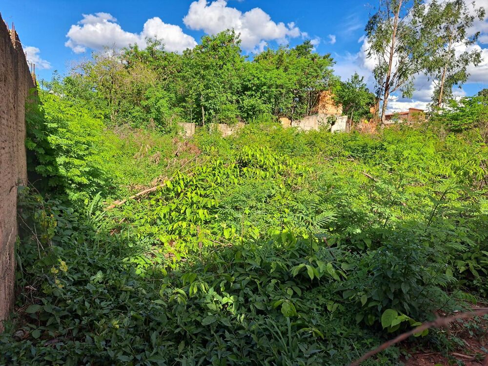 Terreno, 800 m² - Foto 2
