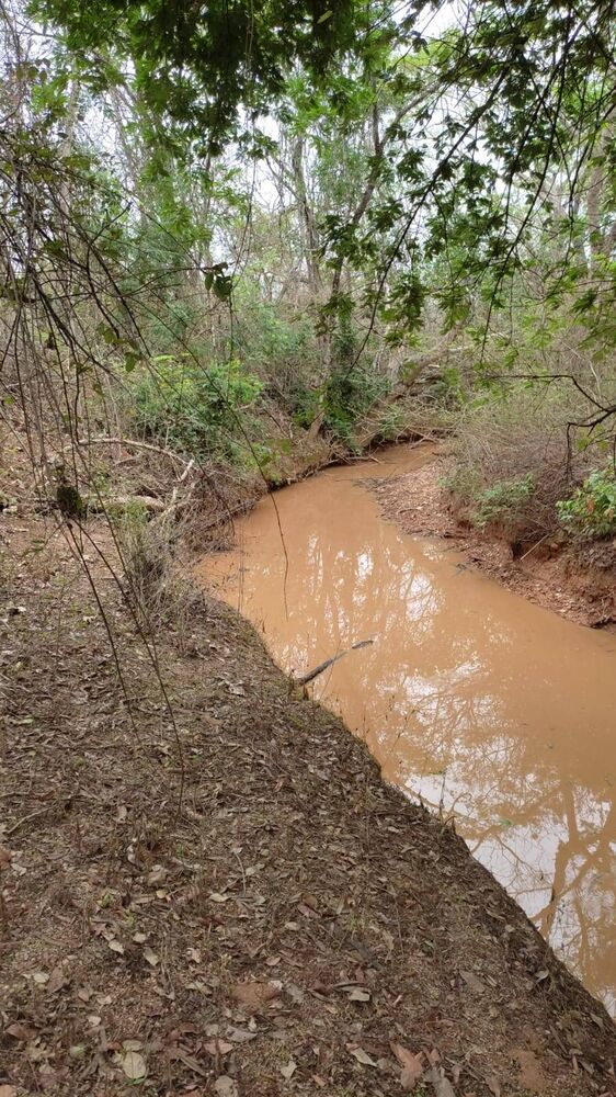 Terreno, 5 hectares - Foto 4