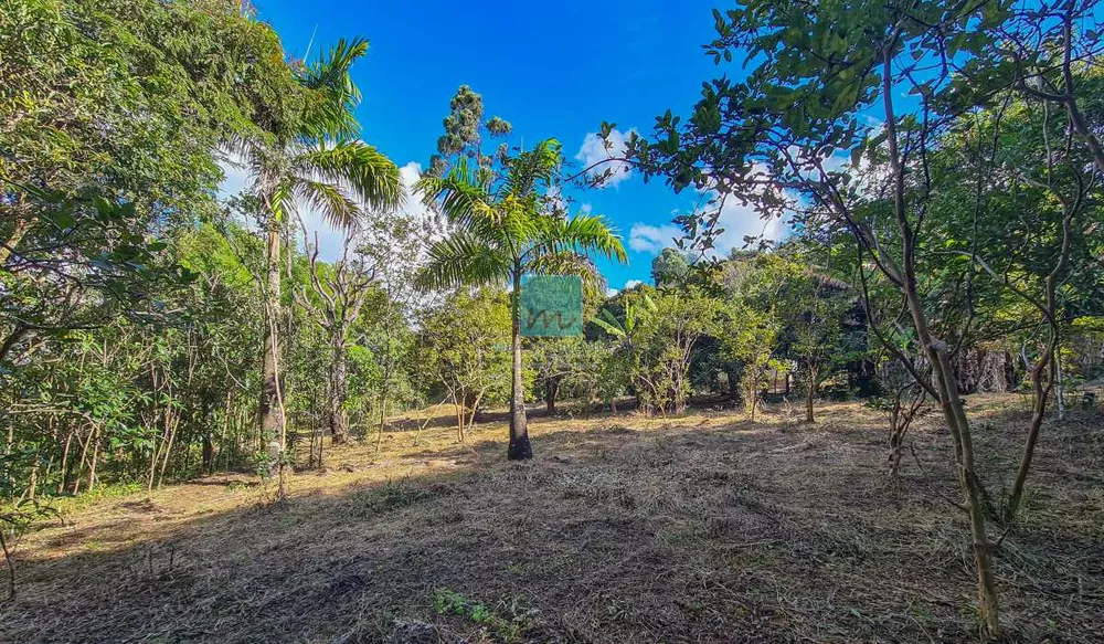 Terreno à venda, 5800 - Foto 4