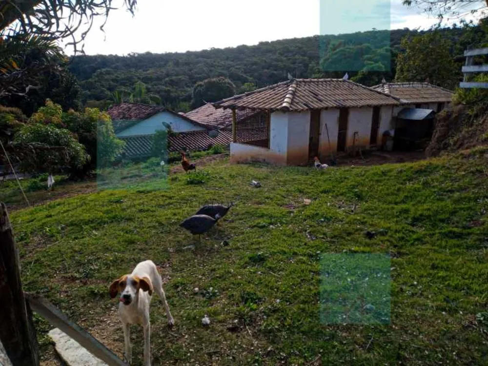 Fazenda, 65 hectares - Foto 9