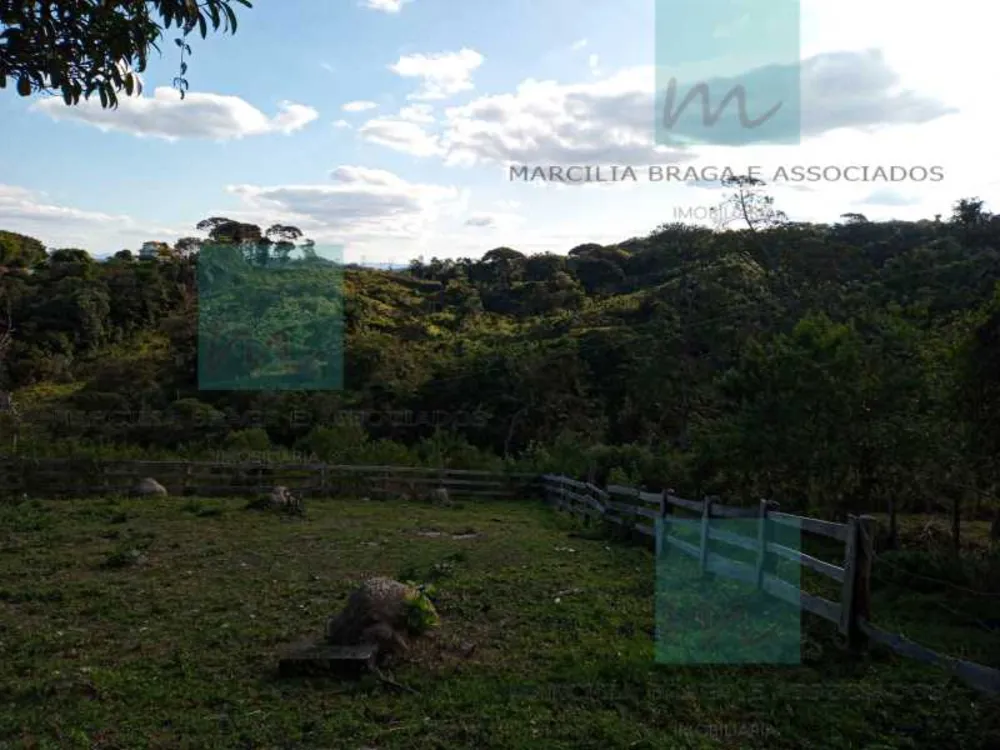 Fazenda, 65 hectares - Foto 14