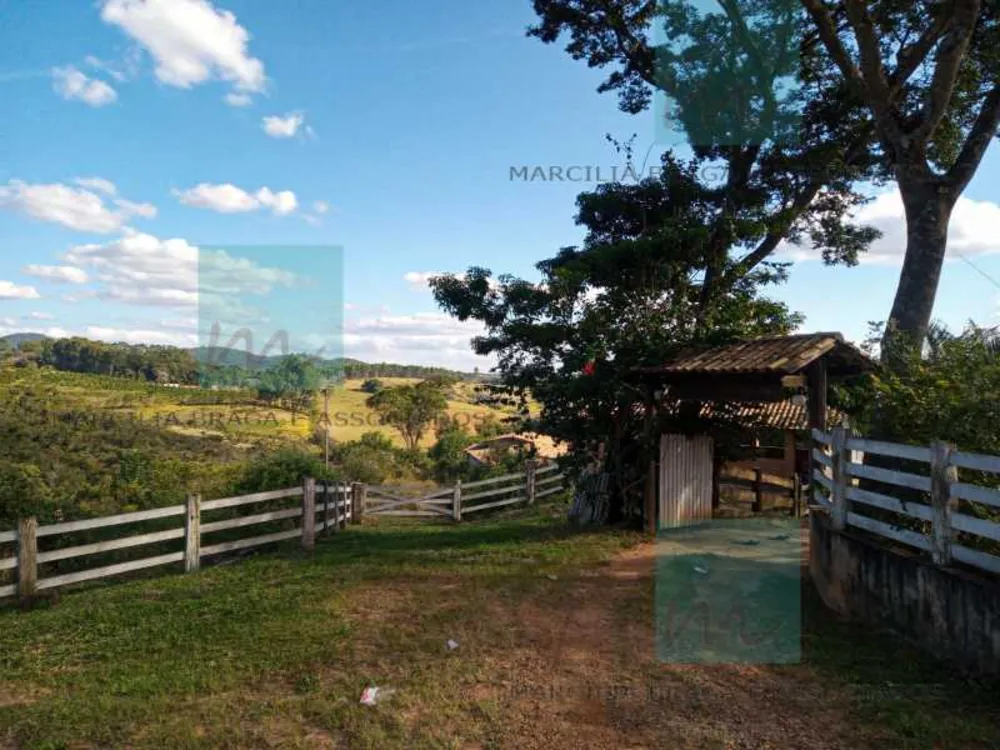 Fazenda, 65 hectares - Foto 16
