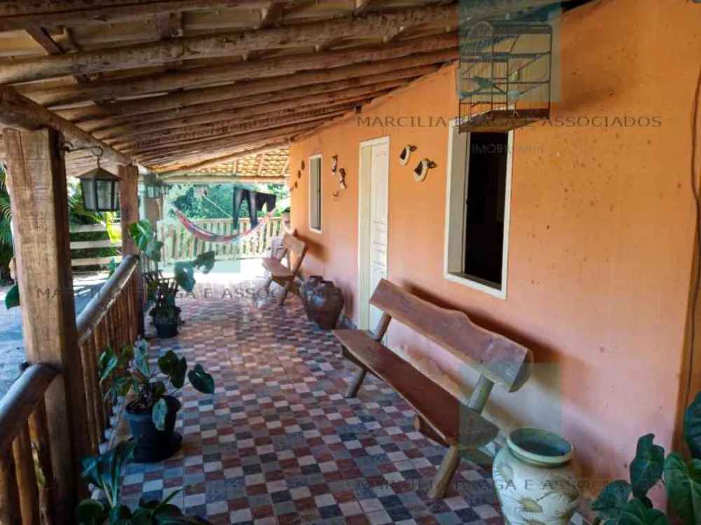 Fazenda, 65 hectares - Foto 6