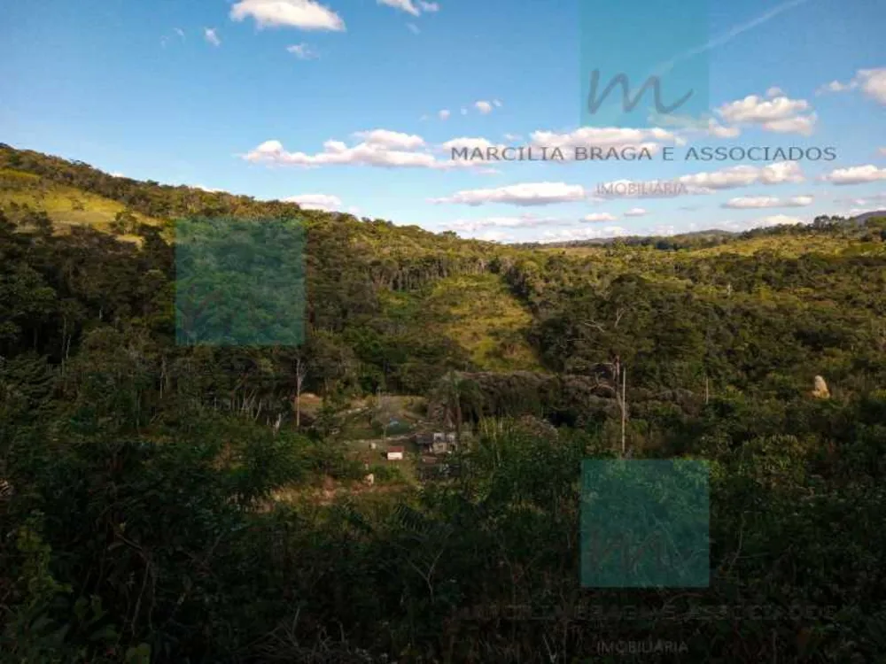 Fazenda, 65 hectares - Foto 15