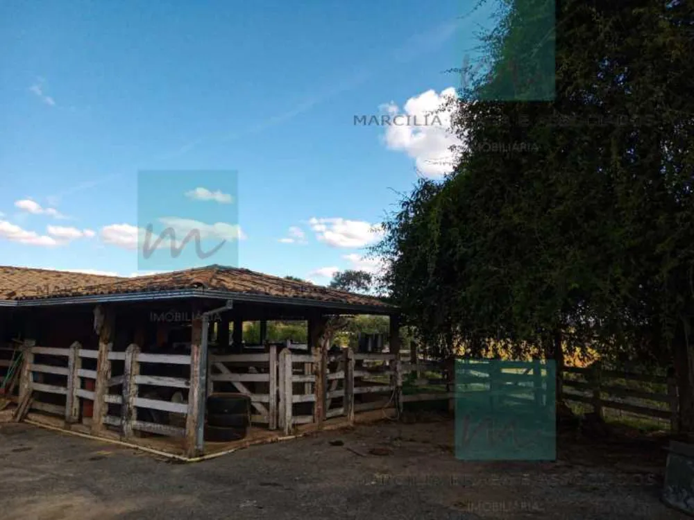 Fazenda, 65 hectares - Foto 12