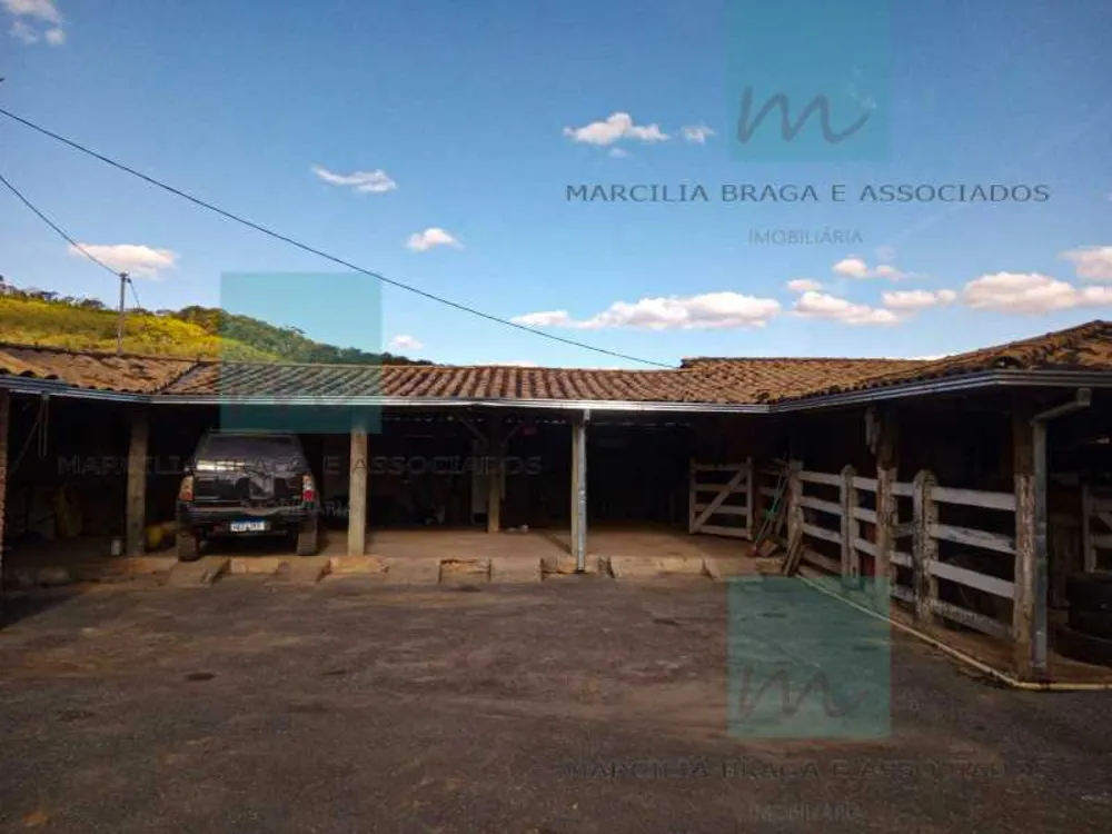 Fazenda, 65 hectares - Foto 10