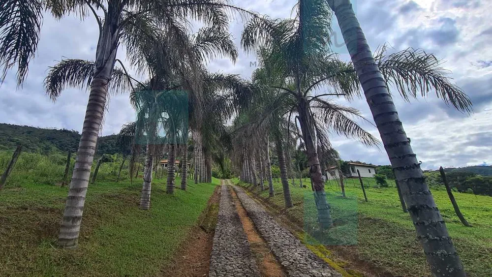 Fazenda, 83 hectares - Foto 14