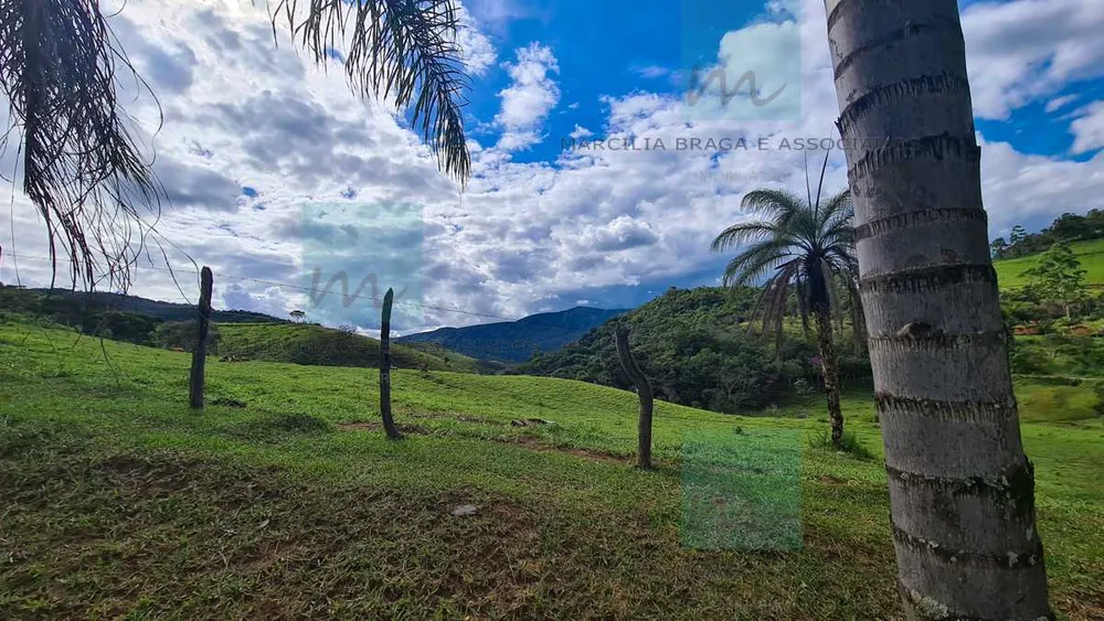 Fazenda, 83 hectares - Foto 15