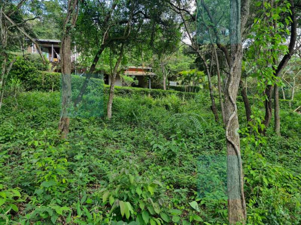 Terreno, 1000 m² - Foto 6