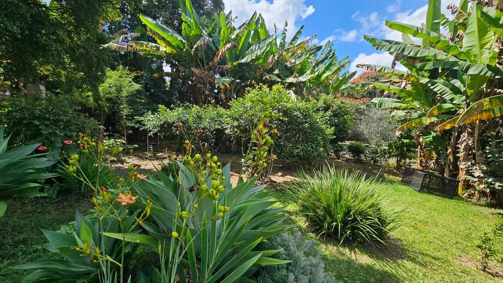 Casa, 6 quartos, 140 m² - Foto 1