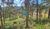 Terreno, 1000 m² - Foto 3