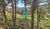 Terreno, 1000 m² - Foto 4
