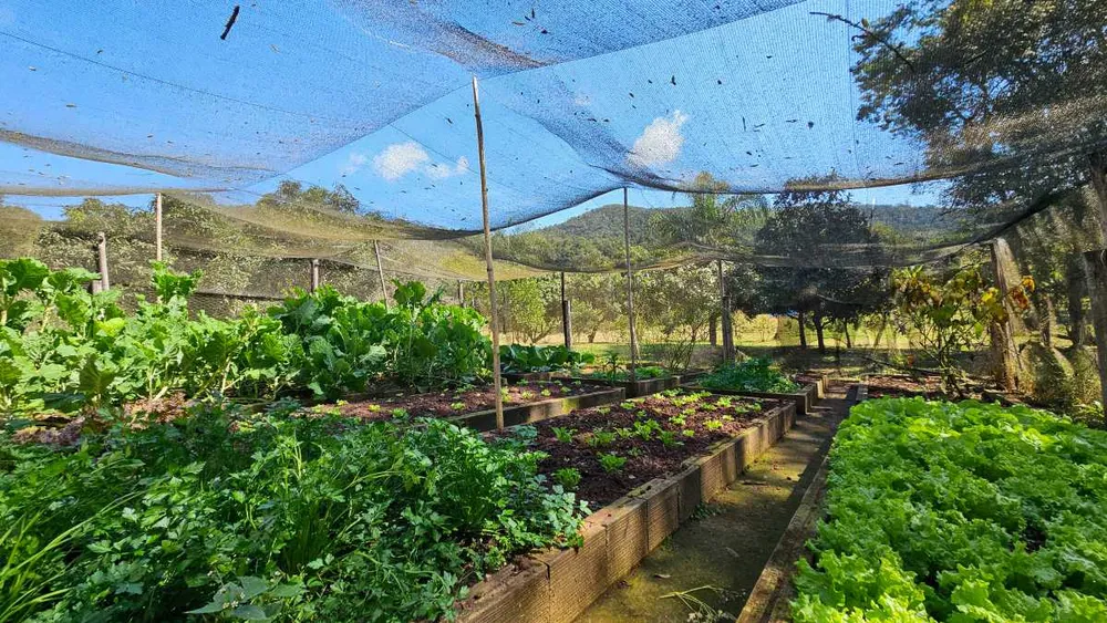 Sítio, 6 quartos, 13 hectares - Foto 8