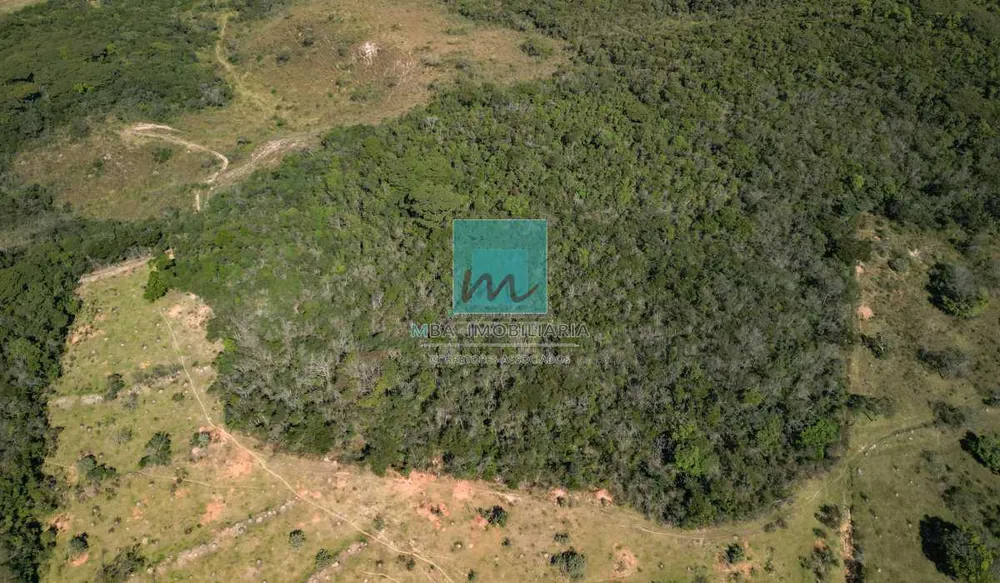 Terreno, 96 hectares - Foto 4