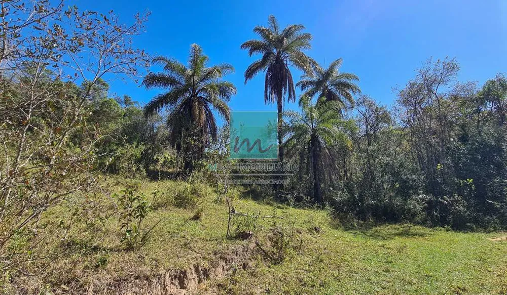 Terreno, 96 hectares - Foto 8