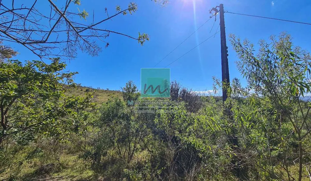 Terreno, 96 hectares - Foto 10