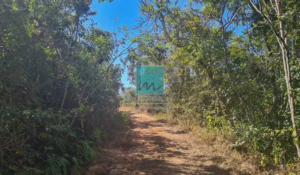 Terreno, 96 hectares - Foto 6