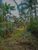 Terreno, 1000 m² - Foto 3