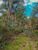 Terreno, 1000 m² - Foto 4