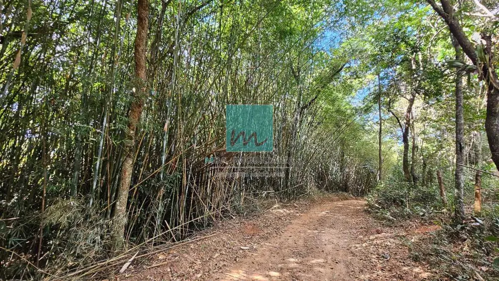 Sítio, 3 quartos, 7 hectares - Foto 9