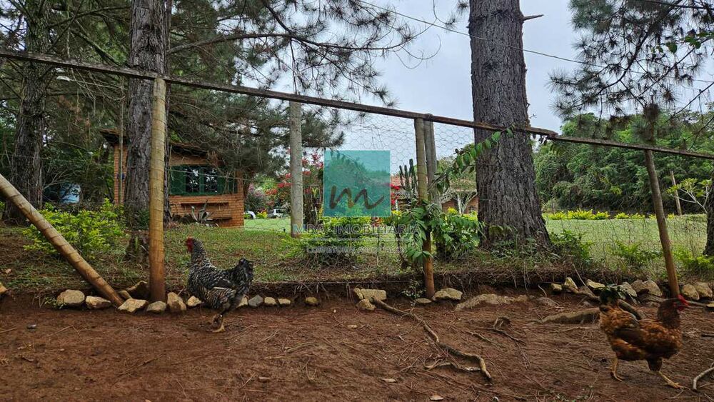 Chácara, 4 quartos, 5000 m² - Foto 6