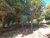 Terreno, 2 hectares - Foto 4