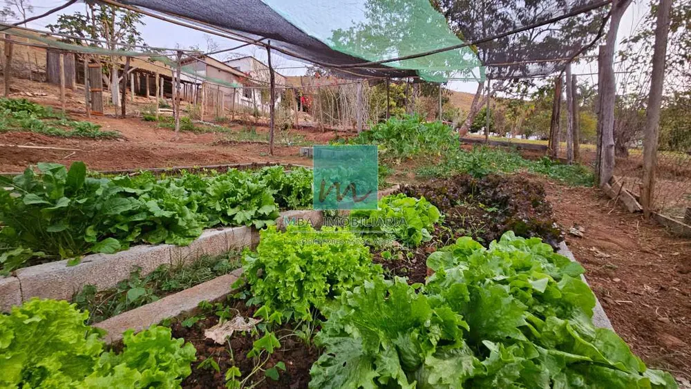 Fazenda, 18 hectares - Foto 8
