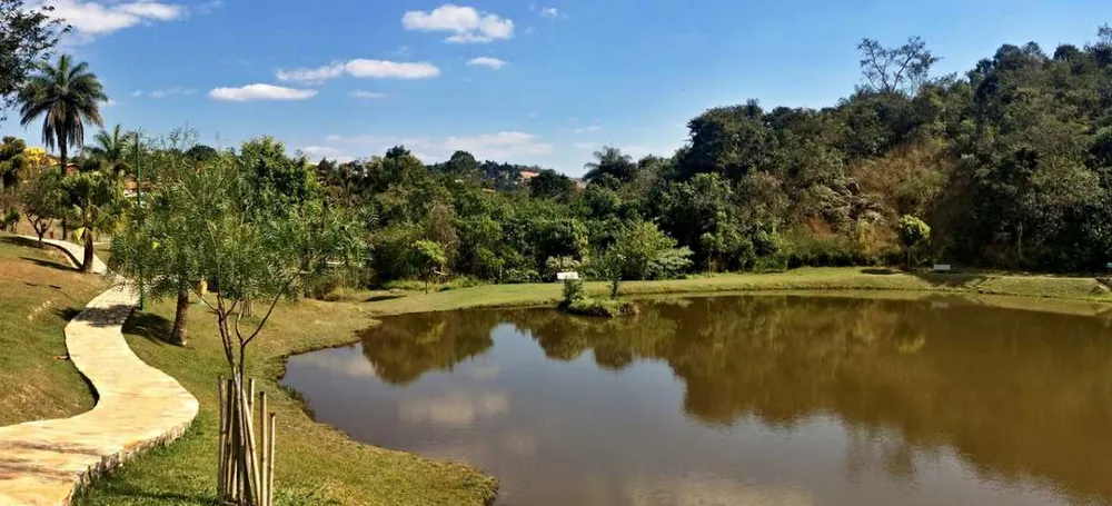Terreno, 1000 m² - Foto 6