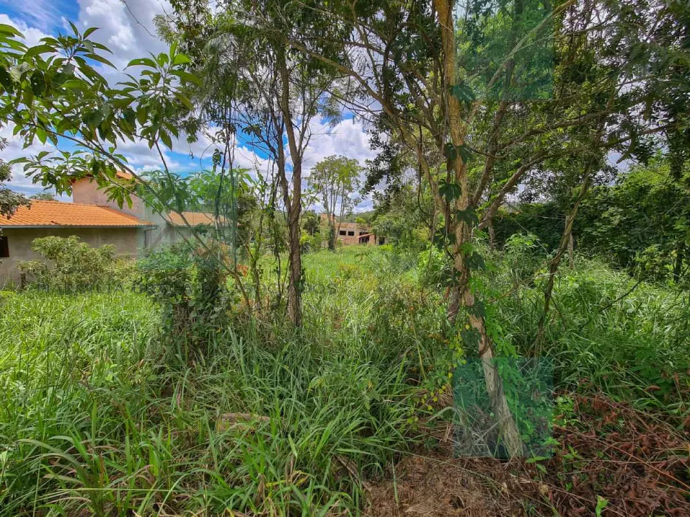 Terreno à venda, 1000 - Foto 3