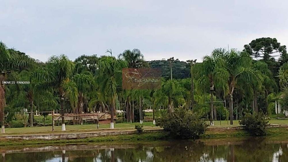 Chácara, 13 hectares - Foto 5