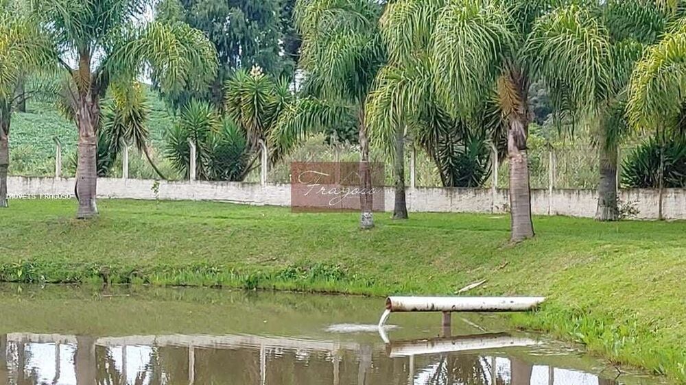 Chácara, 13 hectares - Foto 4