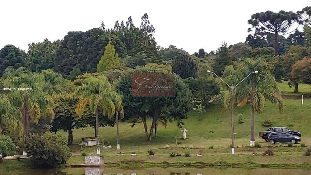 Chácara, 13 hectares - Foto 10