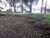 Terreno, 3100 m² - Foto 3